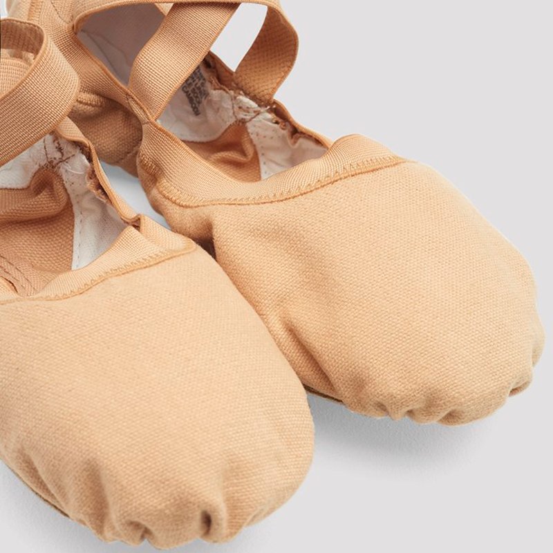 bloch pro elastic