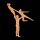 Danza Vinci Bügelmotiv DV-2013