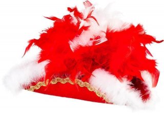 rot mit Goldborte und Boa