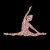 Danza Vinci Bügelmotiv DV-2004