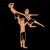 Danza Vinci Bügelmotiv DV-2014